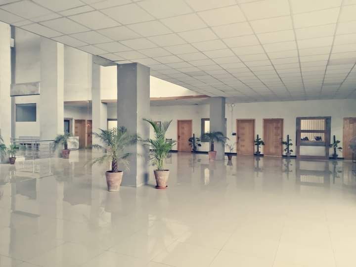 Bright main hall with potted palms and wooden doors
